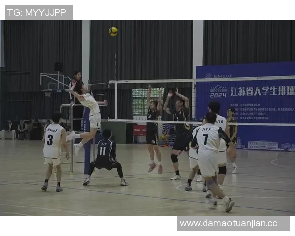 杭州排球队在全国排球意识排行榜中荣获第六名展现团队实力与潜力