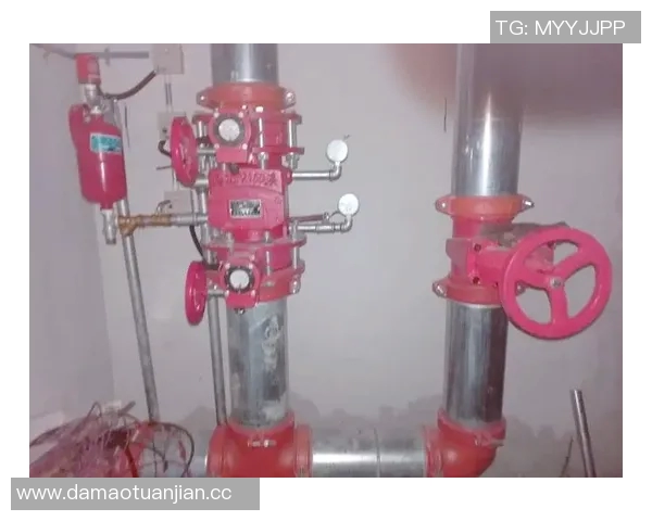 水管阀门选择与安装技巧解析,保障家居用水安全与节能效果