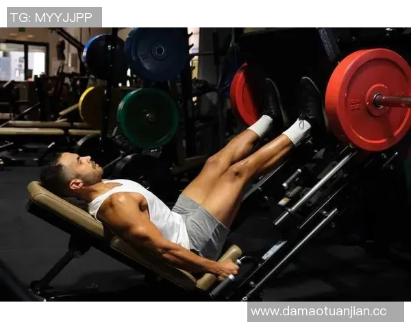 健身之道:从基础训练到专业技巧全面解析打造健康强身的终极指南 健身之道:从基础训练到专业技巧全面解析打造健康强身的终极指南